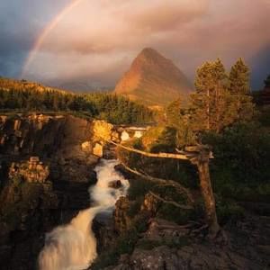 Meet your Posher, Trish